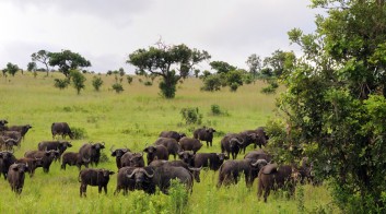 safari excursions from zanzibar