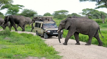 safari tours from zanzibar