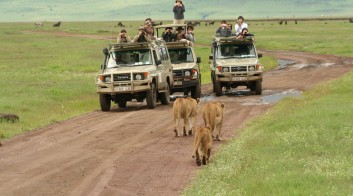 safari excursions from zanzibar