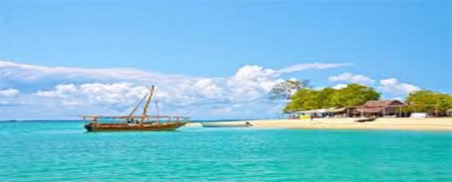 safari blue trip safari blue trip