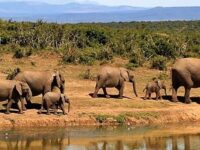 7 days 6 nights Zanzibar beach holiday