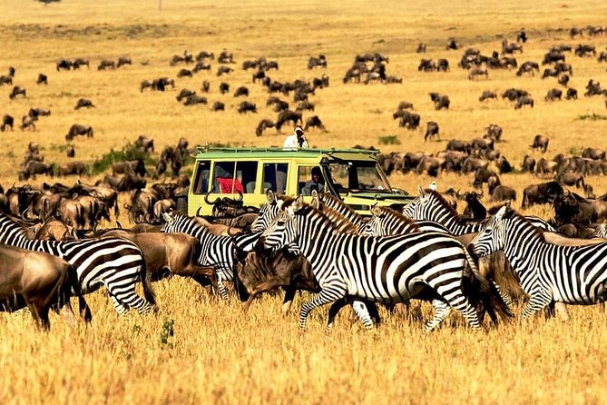 Tanzania Safari Tour