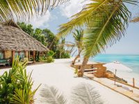 14-day Tanzania safari and Zanzibar beach holiday
