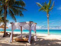 Experience the Ultimate 8 DAYS | 7 NIGHTS - ZANZIBAR BEACH HOLIDAYS